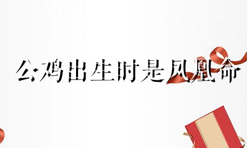 公鸡出生时是凤凰命