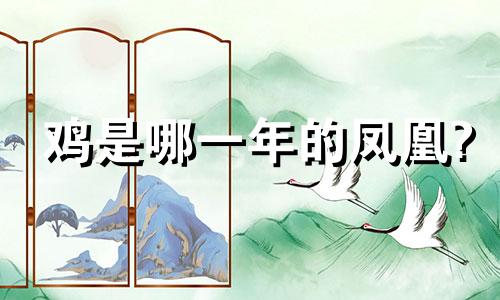 鸡是哪一年的凤凰?