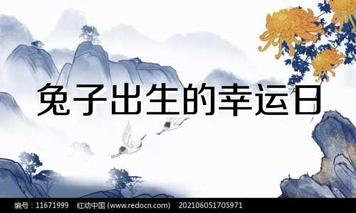 兔子出生的幸运日
