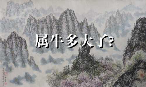 属牛多大了?