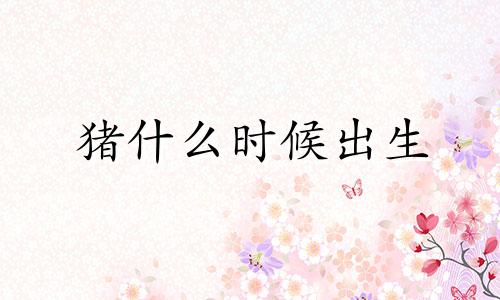 猪什么时候出生