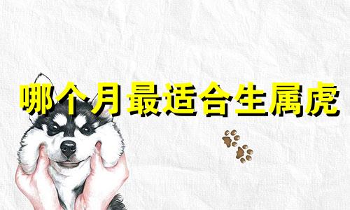哪个月最适合生属虎