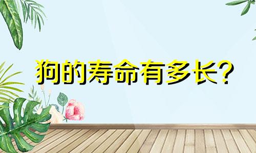 狗的寿命有多长?