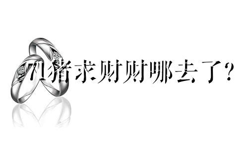 71猪求财财哪去了?