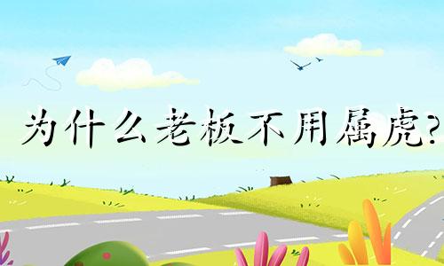 为什么老板不用属虎?