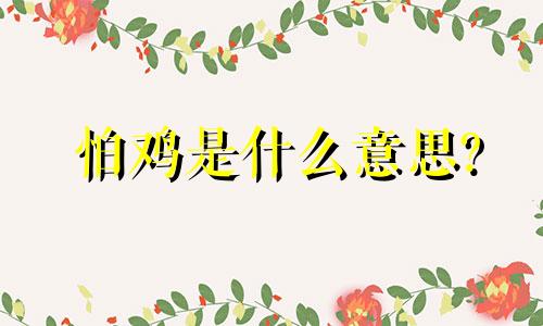 怕鸡是什么意思?