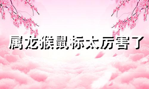 属龙猴鼠标太厉害了