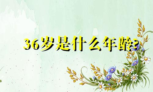 36岁是什么年龄?