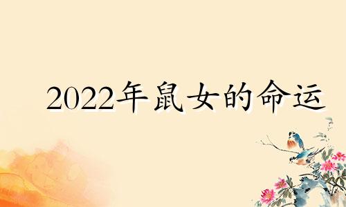 2022年鼠女的命运