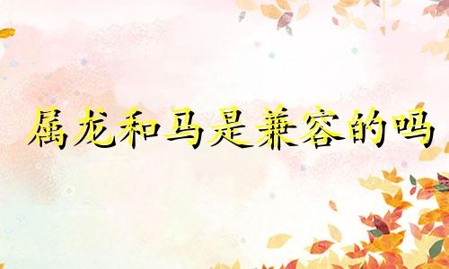 属龙和马是兼容的吗