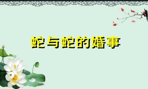 蛇与蛇的婚事