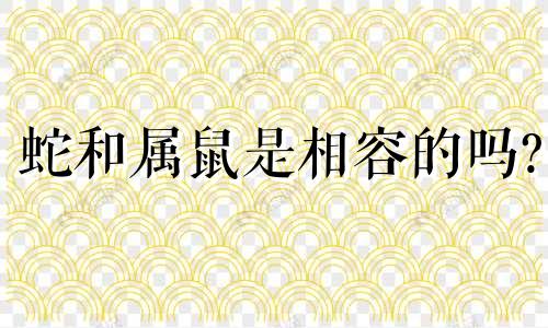 蛇和属鼠是相容的吗?