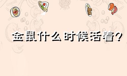 金鼠什么时候活着?