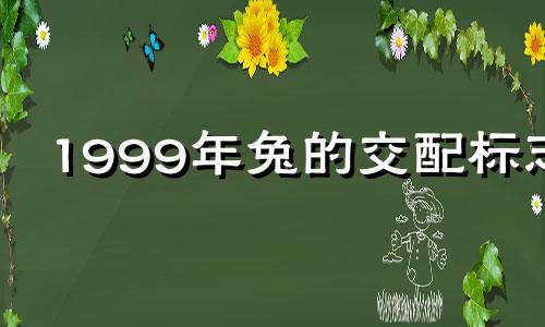 1999年兔的交配标志