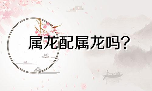 属龙配属龙吗?