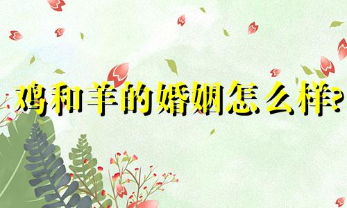 鸡和羊的婚姻怎么样?