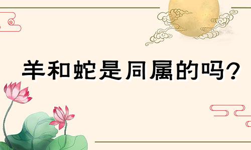 羊和蛇是同属的吗?