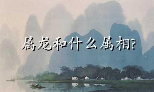 属龙和什么属相?