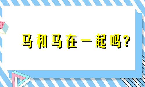 马和马在一起吗?