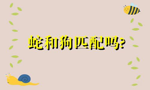 蛇和狗匹配吗?