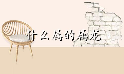 什么属的属龙
