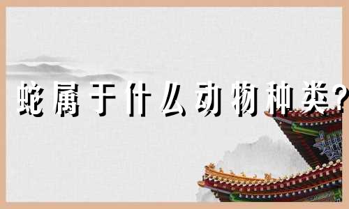蛇属于什么动物种类?