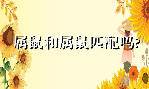 属鼠和属鼠匹配吗?