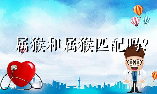 属猴和属猴匹配吗?