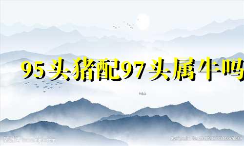 95头猪配97头属牛吗