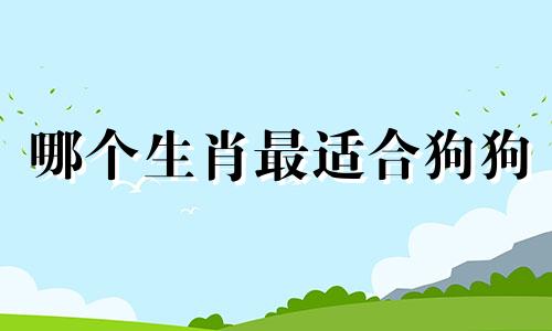 哪个生肖最适合狗狗