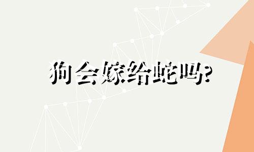 狗会嫁给蛇吗?