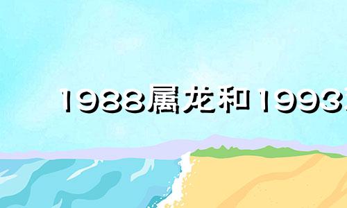 1988属龙和1993鸡?