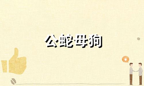 公蛇母狗