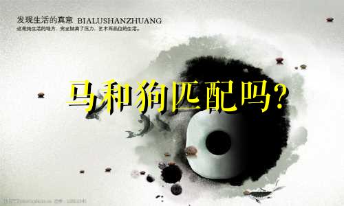 马和狗匹配吗?