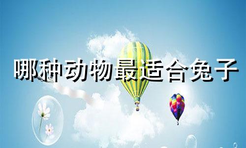 哪种动物最适合兔子
