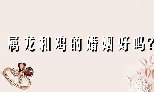 属龙和鸡的婚姻好吗?