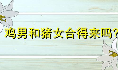 鸡男和猪女合得来吗?