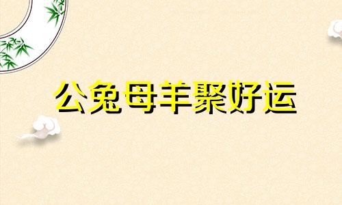 公兔母羊聚好运
