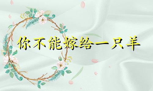 你不能嫁给一只羊