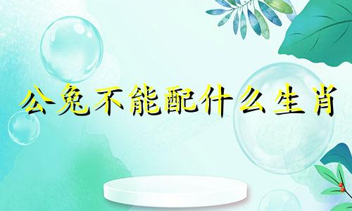 公兔不能配什么生肖