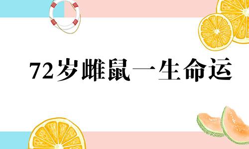 72岁雌鼠一生命运