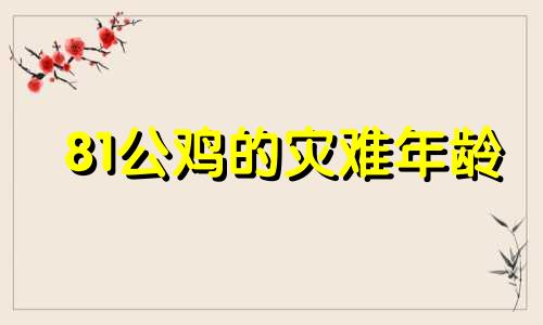 81公鸡的灾难年龄