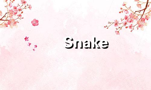 Snake 1989婚姻状况