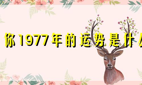 你1977年的运势是什么?