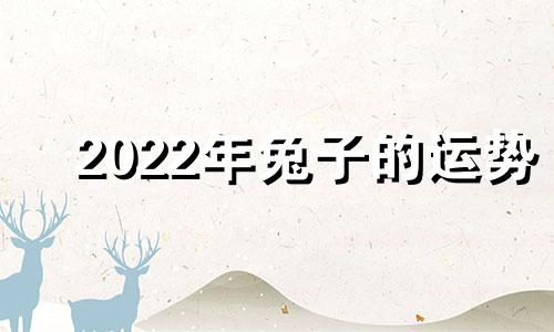 2022年兔子的运势