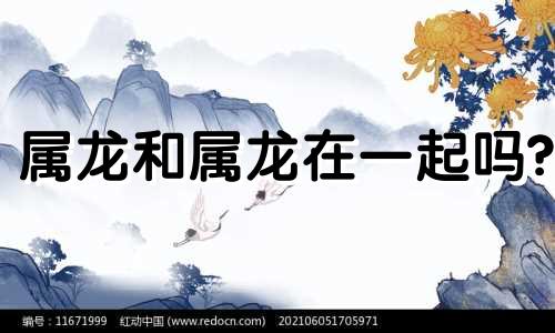 属龙和属龙在一起吗?