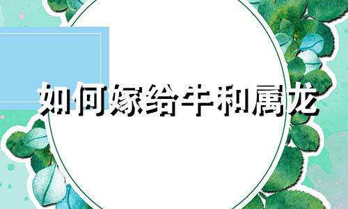 如何嫁给牛和属龙