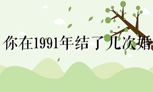 你在1991年结了几次婚?