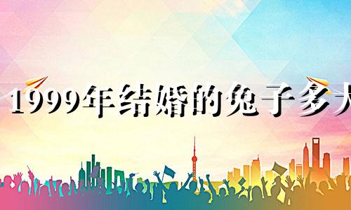 1999年结婚的兔子多大?
