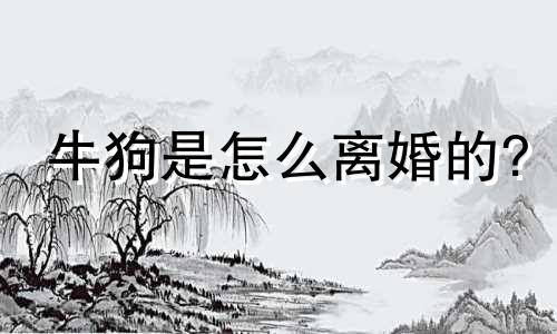 牛狗是怎么离婚的?